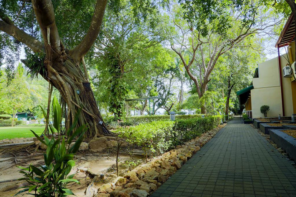 Miridiya Lake Resort Anurâdhapura Extérieur photo